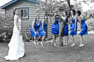 Wedding Photography By Direct Entertainment