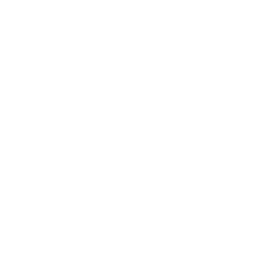 Music Database